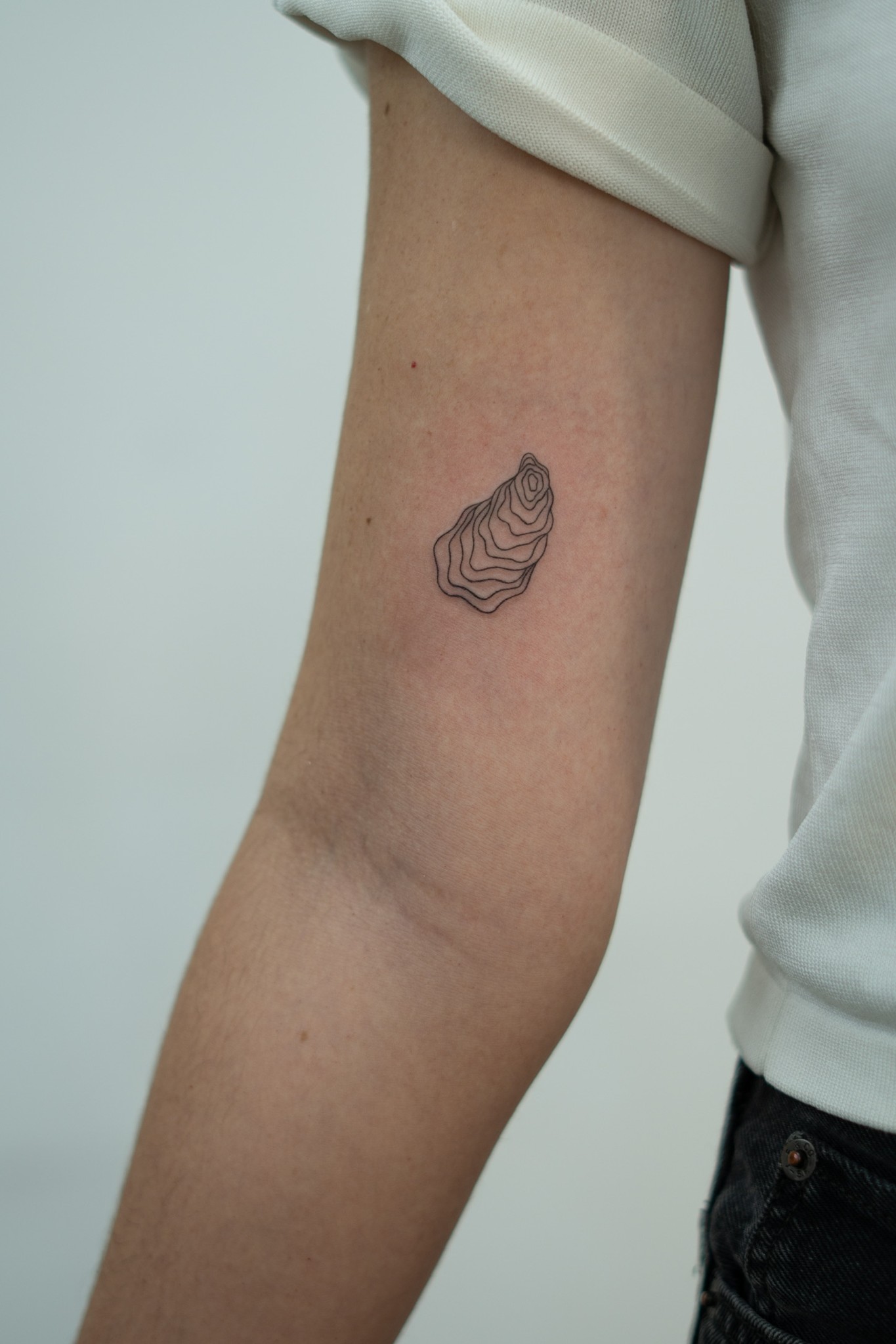 Fine-line oyster-shell tattoo on the arm
